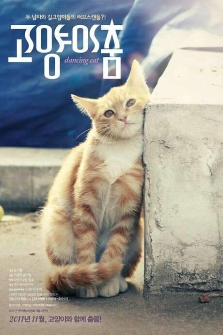 Two strangers—a poet‑traveler who photographs street cats daily and a commercial‑film director who films them—become fascinated by the felines they encounter. They begin feeding and naming the cats, noticing hostile glances from passersby, and eventually decide to create a documentary about the lives of these urban cats.